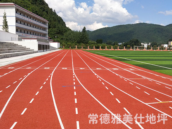 銅仁中學(xué)塑膠跑道、草坪